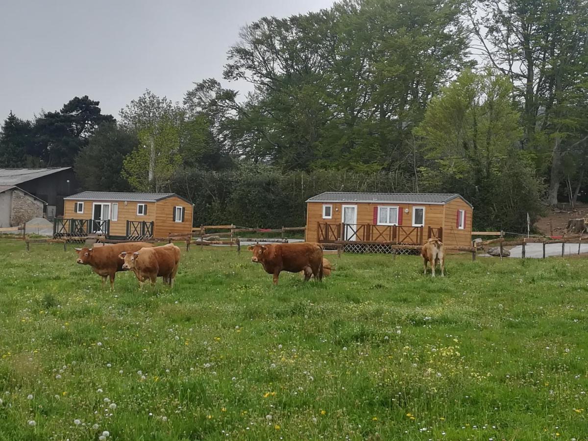 Les Chalets De Bes "Le Campagnard " Lacombe Exterior photo